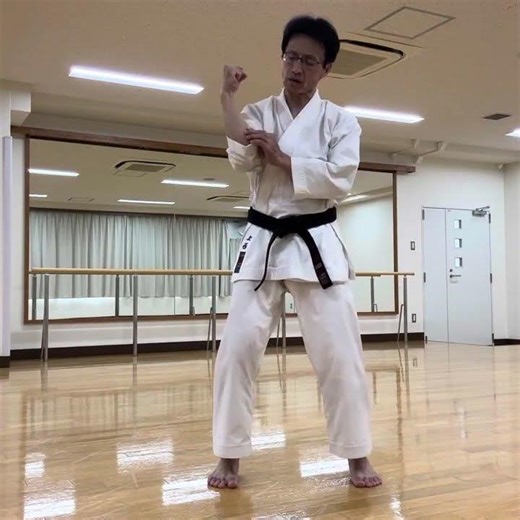 Seiken of 55 yo, 3/6（５５歳の正拳 その３）