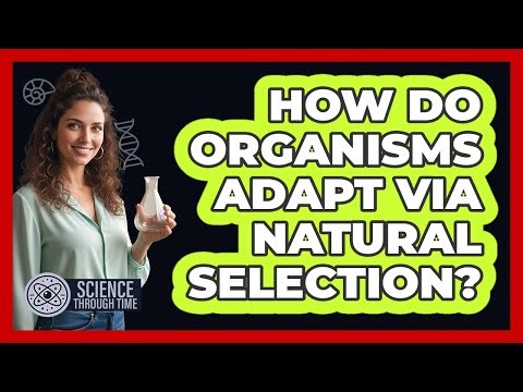 How Do Organisms Adapt via Natural Selection?