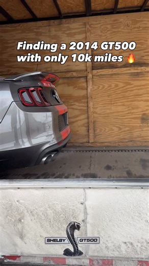 Low Miles No Miles ™️ on Instagram: "Found a 2014 Shelby GT500 with only 10,000 miles — a modern muscle legend that still feels unreal today. Powered by the supercharged 5.8L Trinity V8, this monster makes 662 horsepower and 631 lb-ft of torque, sent through a 6-speed manual to the rear wheels. Ford claimed 0–60 in 3.5 seconds and a 202 mph top speed, making it the fastest production car in the world when it debuted. Carbon-fiber driveshaft, massive Brembo brakes, adjustable suspension, and that