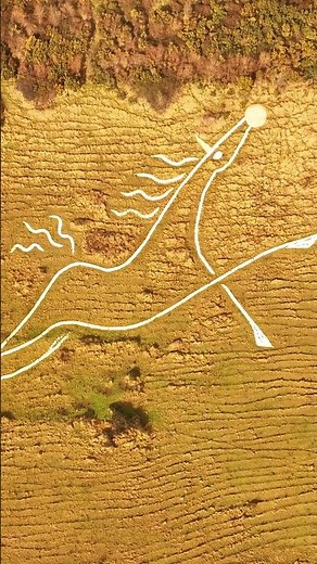 Folkestone Le Shuttle Terminal & White Horse 🐴 |Aerial Perspective #drone #kent #fyp #shorts #foryou