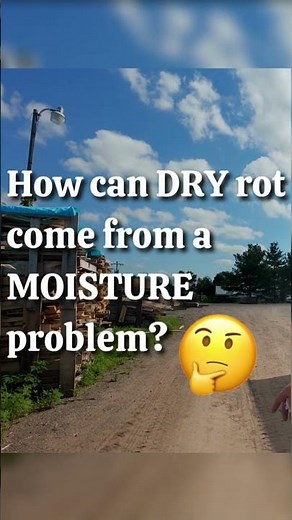 Find Dry Rot Fast Before It Eats Your Home! #dryrot #woodrot #termites