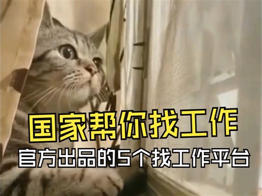 看过来！国家帮你找工作啦~官方出品的5个找工作的神器 ！别再浪费时间在那些不靠谱的招聘软件上了！