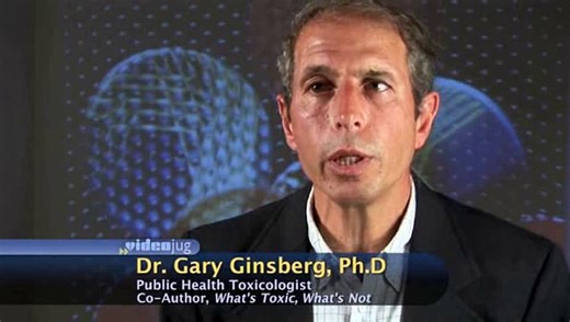 How was dioxin discovered to be toxic to humans?: Dioxin And PCBs Explained