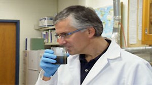 Watch Modern Marvels Season 17 Episode 4 - Stink