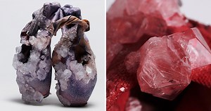 alice potts uses sweat and urine to engineer new biological accessories