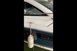 2012-jeanneau-leader-10-9862216