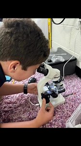 6th grade students at Mead Hall working hard on their Science Fair project! #wearemeadhall | Mead Hall Episcopal School