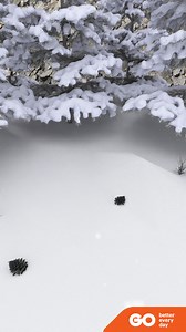 🎄✨ The Season of Stories is here! 𝐄𝐧𝐣𝐨𝐲 𝐅𝐑𝐄𝐄 𝐌𝐨𝐯𝐢𝐞𝐬 & 𝐒𝐞𝐫𝐢𝐞𝐬 𝐏𝐚𝐬𝐬 with your GO TV subscription until 5th January. Curl up, relax, and dive into the festive magic 📺❤️ https://goplc.info/movies-series-openviewing | GO