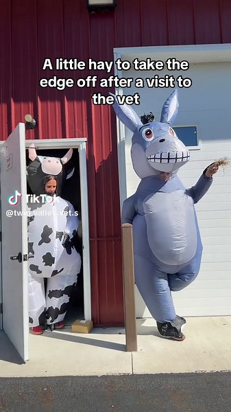 Just something to take the edge off 😅🐄🫏#vet #vetmed #fyp #viral | Veterinary