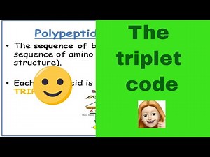 The triplet code. A-level Biology. AQA