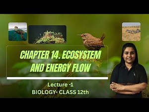 Lecture 1 – Ecosystem & Energy Flow | Class 12 Biology | Chapter 14 | Maharashtra State Board