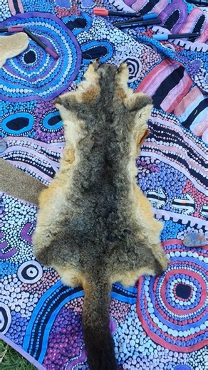Possum skin & Kangaroo hides, cloak making #warmth #skin #furry #animals #shorts