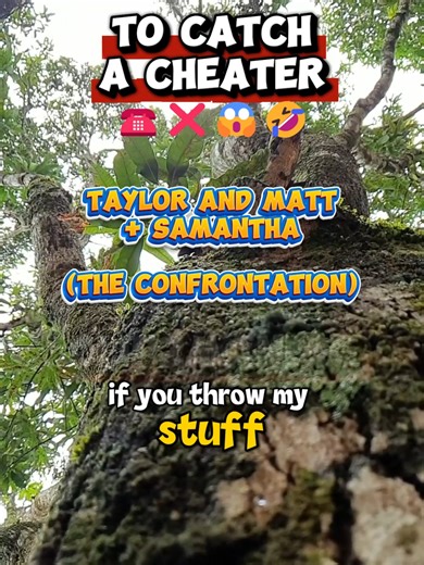 To Catch a Cheater: Taylor, Matt, and Samantha Confrontation