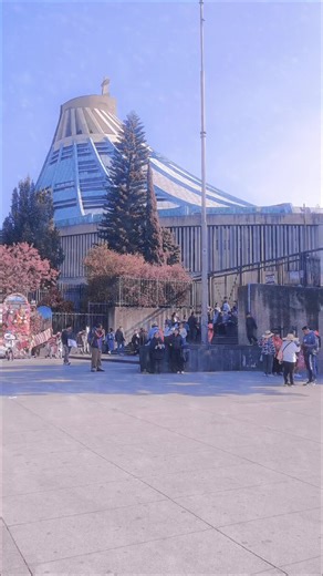 #capcut #parati #fyp #Viral #fypシ゚viral