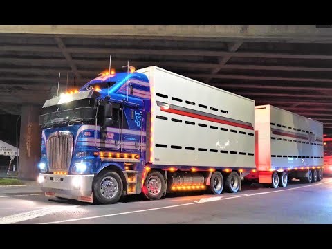 New Zealand Trucks, NIGHT RIDER , Wellington