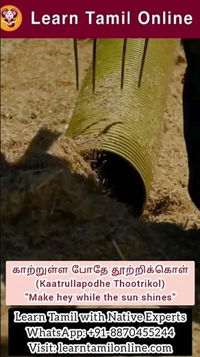 Tamil Proverbs explained in 1 minute