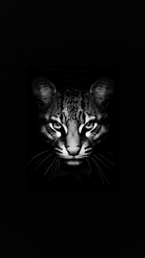 𝗗𝗮𝗿𝗸𝗖𝗼𝗺𝗲𝗯𝗮𝗰𝗸™ | Psychology • Strategy on Instagram: "Humble people are often misunderstood. Their calm gets mistaken for fear. Their softness gets confused with weakness. What most don’t realize is that humility is usually a choice. A decision to stay grounded even when reacting would be easier. Some people stay soft because they understand the cost of losing control. They’ve seen what happens when restraint disappears. So they keep it contained. But humility doesn’t mean endless tol