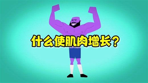 【TED-Ed】是什么使肌肉增长？|What makes muscles grow?