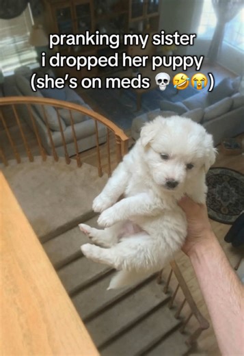 what is she saying😭 #prank #sister #viral | pranks