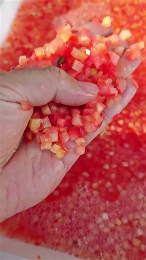 Fruit & Vegetable Dicing Machine