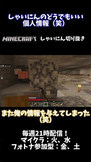 しゃいにんのどうでもいい個人情報（笑） #minecraft #しゃいにん #洞窟生活 #配信 #shorts