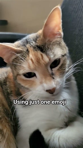 Explain your math's teacher with one emoji👀 #catshorts #funnycat #catvideos #viralshorts #cat