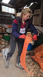 Renetting a split kindling net using the kindlet 200 Kindling machine ~ @fuelwoodwarwick Body warmer ~ @scruffsworkwear (finally got myself a new one!) Jumper ~ @victorialouisecountry Leggings ~ @gymshark Wellies ~ @grubsboots #kindling #kindlingnet #kindlingcracker #kindlingmachine #firewoodprocessor #firewood #lumberjack #lumberjill #wellies #firewoodbusiness #jackrussell | Georgia Goes Logging
