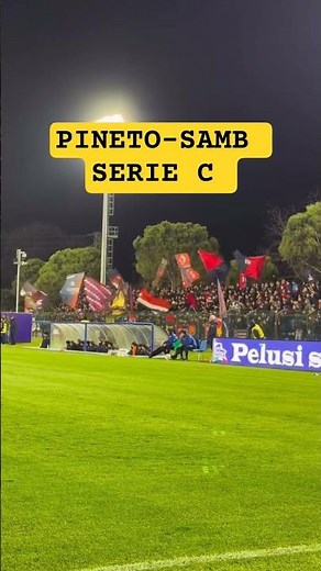 PINETO-SAMB, Serie C #shorts #ultras