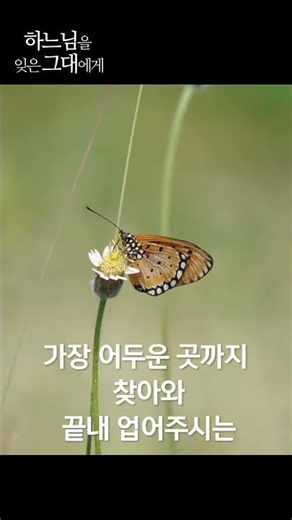 하느님은 끝까지 용서하십니다 #하느님을잊은그대에게#shorts#생활성서사#가톨릭#천주교#프란치스코교황#베즐레대성당#위로#신앙에세이