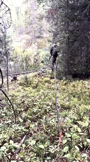 James Barnes | Early September archery elk hunt in Wyoming’s beautiful backcountry! I don’t think it gets any better than that, but that’s me. We tried to... | Instagram