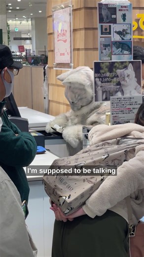 Discover the Charm of Japanese Cat Culture