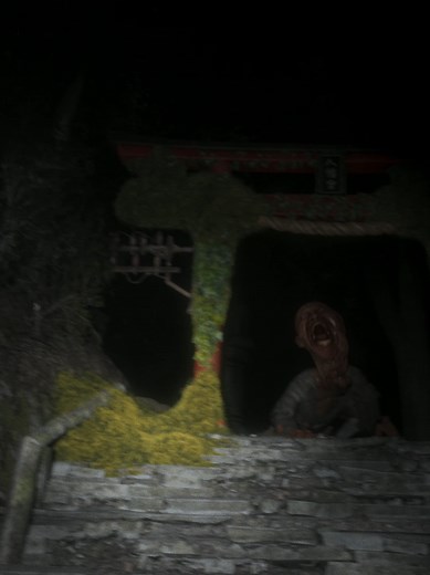 Surviving in the Ruins of Civilization: A Horror Adventure