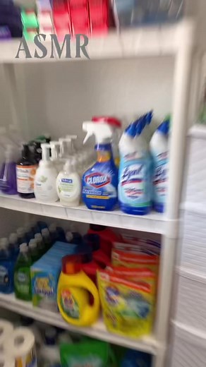 This is the only reason why my stockpile is organized 😂 #stockpile #couponing #fypシ゚viral #fypシ #fyp #asmr #asmrsounds #asmrvideo #asmrtiktoks