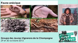 12K views · 81 reactions | Fonctionnement du sol : la faune. Vidéo...