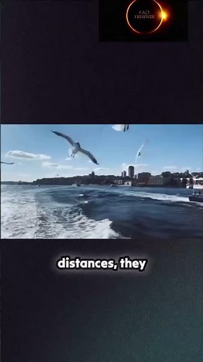 The Most Isolated Island: 250 People Live Here!