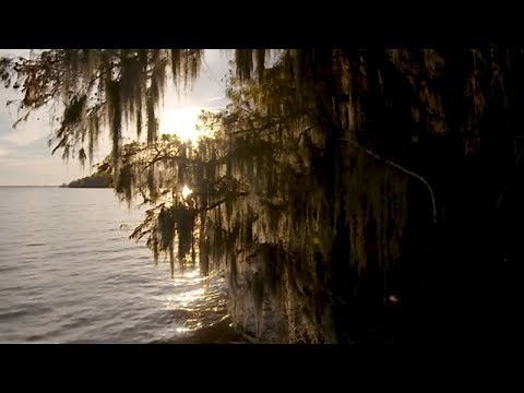 Secrets Of Albemarle Sound: Exploring North Carolina's Coastal Treasures | Exploring Creation Vids