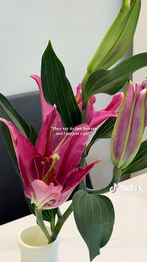 Meaningful Lilies: Unpacking Their Symbolism