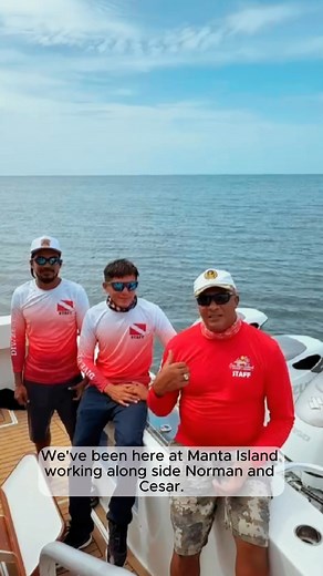 11K views · 186 reactions | Almost three months of island magic in...