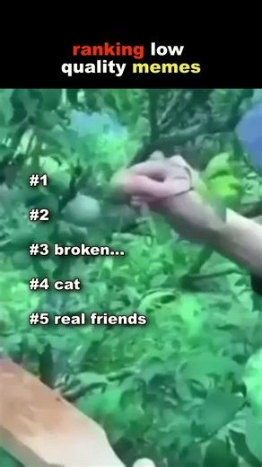 Why Do These Memes Exist?! 🤡