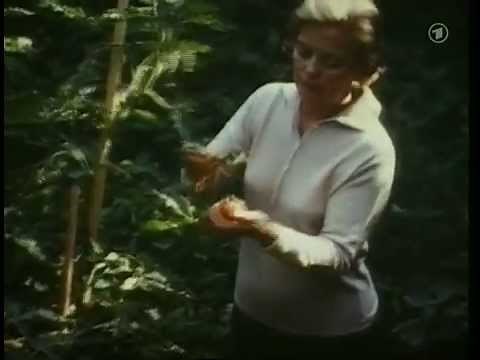 Memories of Heidi Kabel