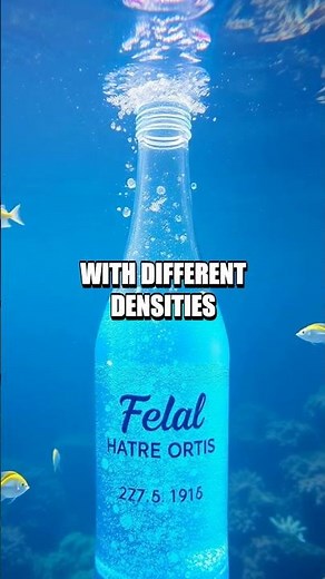 Homemade Jellyfish in a Bottle Experiment