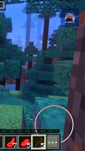 I lost my Pet! 😫😫😫