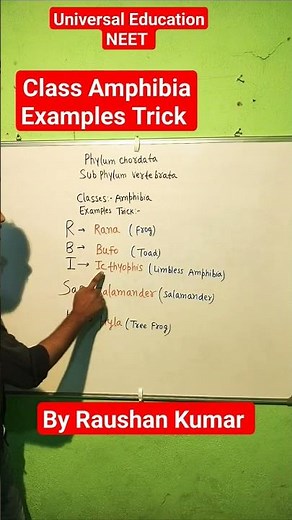 Phylum Chordata ll Class Amphibia Examples Trick ll Animal Kingdom ll NEET ll By Raushan Kumar