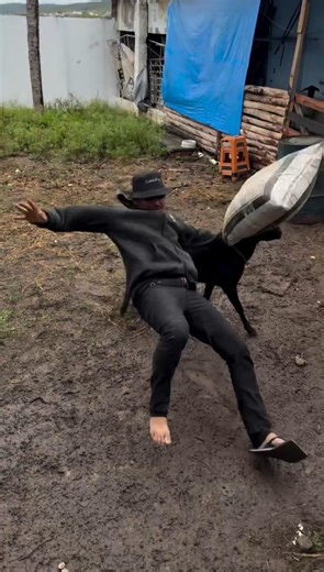 Goat VS Man Fails 🤣