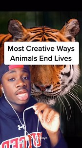 Part 2 Wolf eel fish caught a second time, explaining the importance of Wolf eel fish in our ocean ecosystem. #wolfeel #eel #sustainable #friendliestcatch | Mndiaye