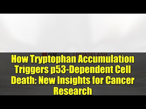 How Tryptophan Accumulation Triggers p53-Dependent Cell Death: New Insights for Cancer Research