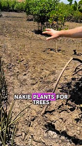 Travel hack everyone should know 🤯 This foldable, 30L backpack only weighs 325g, making it the perfect travel hack. Plus, we plant 4 trees for every backpack sold! 🌳 Free Shipping & Lifetime Warranty | Nakie