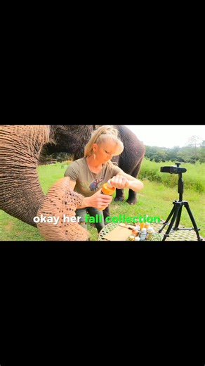 Her fall collection of miniature elephant paintings are up on the website now at silkelephant.shop. #Elephant #ElephantArt #ElephantPaintings #ElephantLover #FreeContactCare #ElephantCaretaker | The Walking Elephant