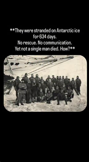 @miyozakhi on Instagram: "In 1914, explorer Ernest Shackleton led 27 men on a British expedition to cross Antarctica. Their ship, Endurance, never made it. It was trapped in pack ice, slowly crushed, and finally sank, leaving the entire crew stranded on drifting ice in the coldest place on Earth. For months, they lived on floating ice sheets, watching their world break apart. Temperatures dropped below −40°C. Food ran low. They hunted seals and penguins just to stay alive. There was no radio, no