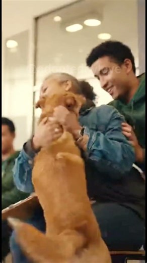 The Dog That Chose Love ❤️🐾#adoptedbylove #dogadoption #emotional #viralvideo #pets #puppy